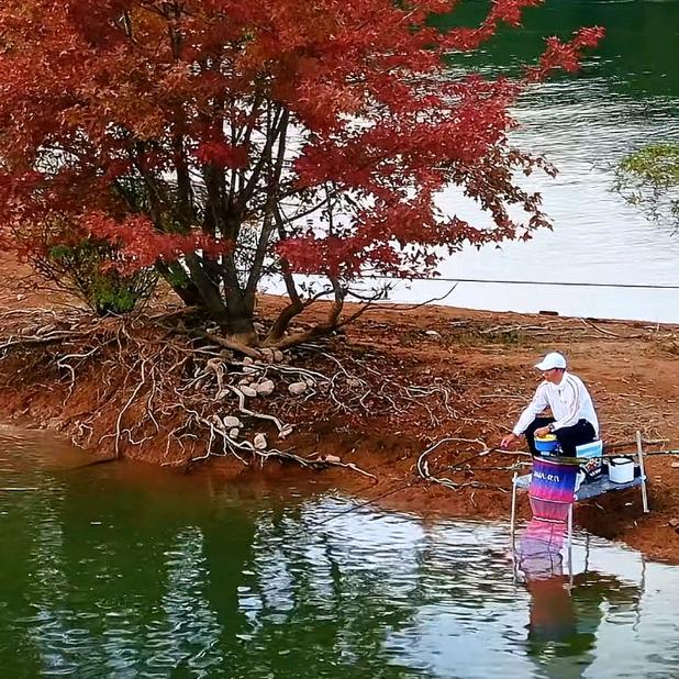 空钩钓🎣白条