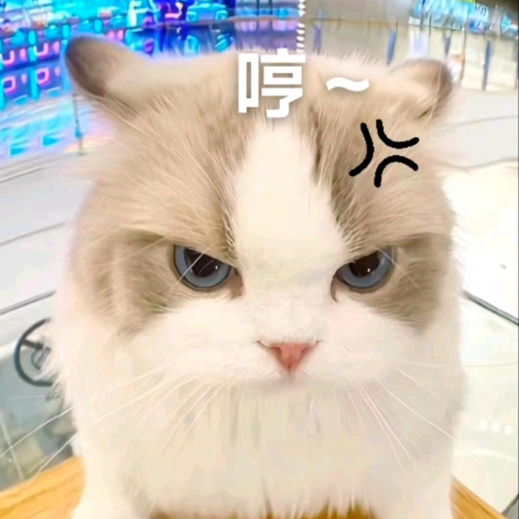 小王子👑