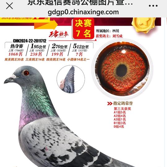 一坤鸽屋
