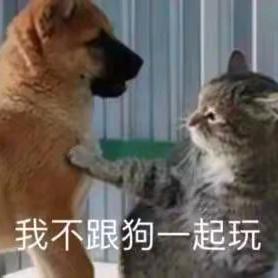 🌈炊烟散云海