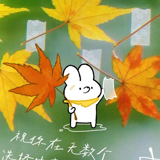 老太也疯狂