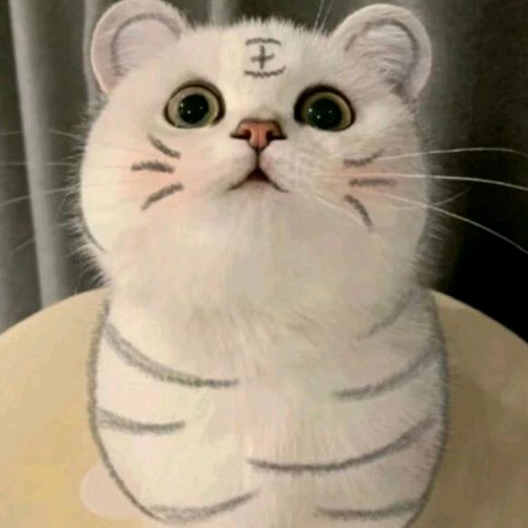 她说过如果名字太长的话会有沙子好奇点进来