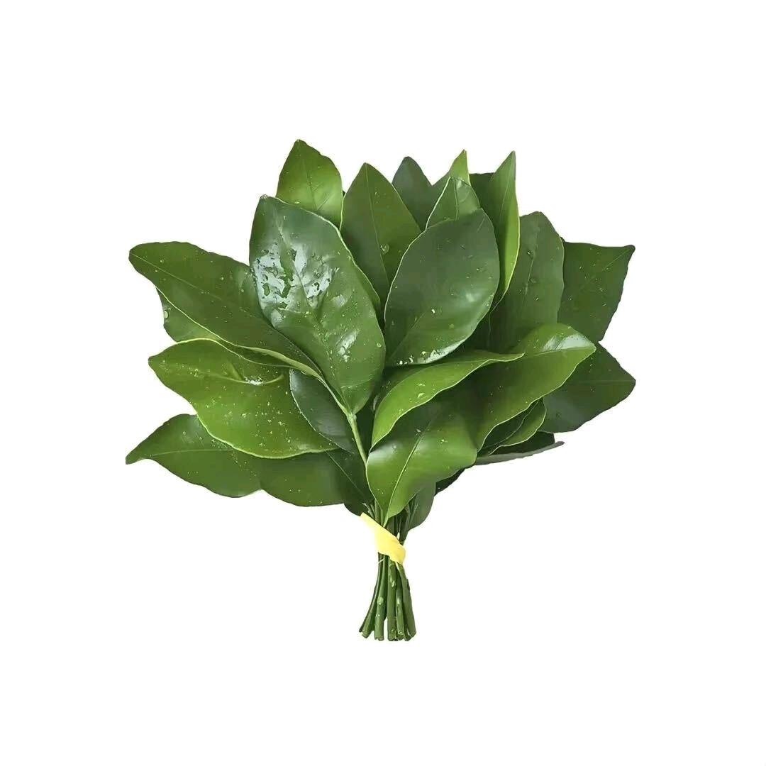 小鱼