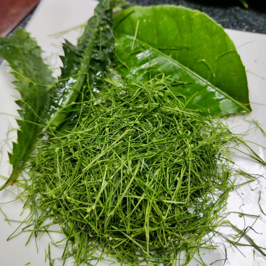 柠檬叶切丝刀优品小铺