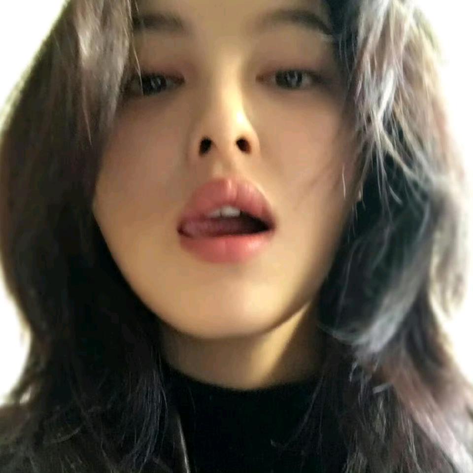果子狸与猫🌈