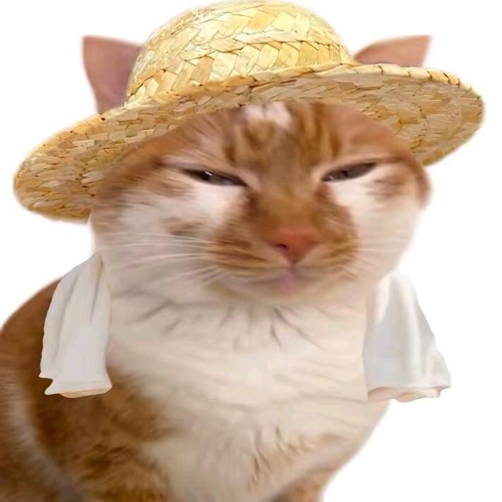 阿莫🐟