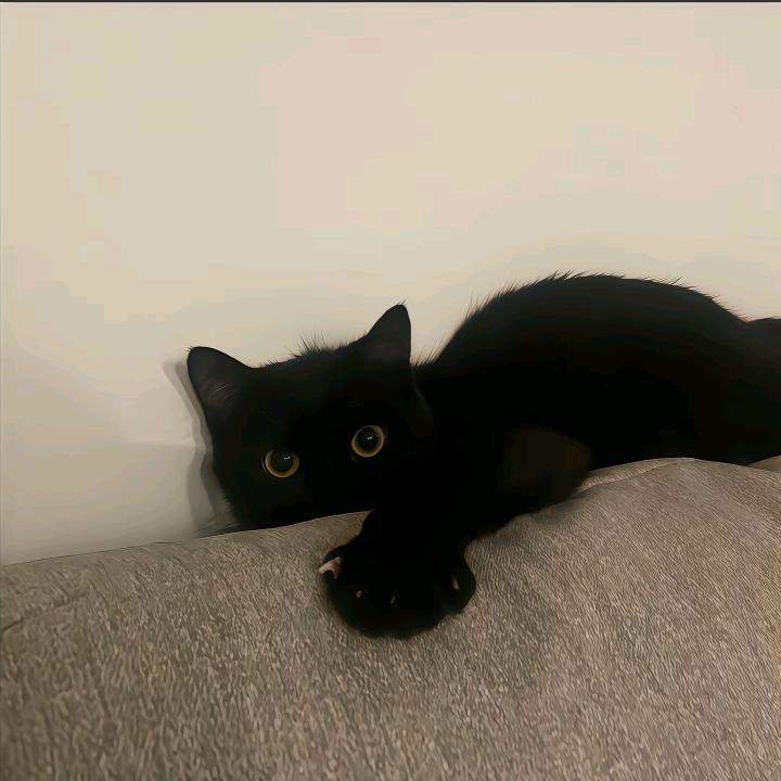 麻辣烫