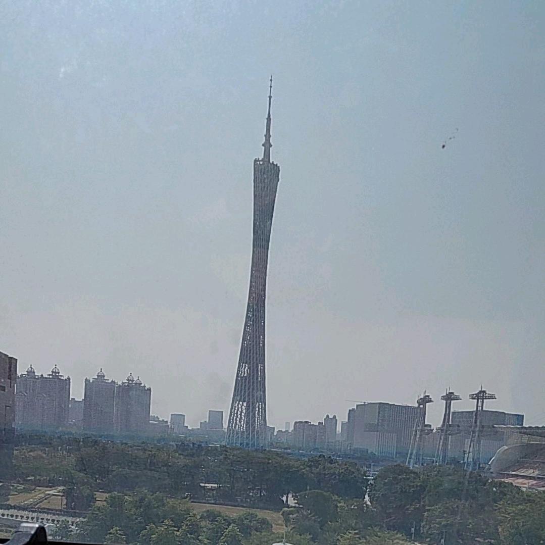 我不如狗