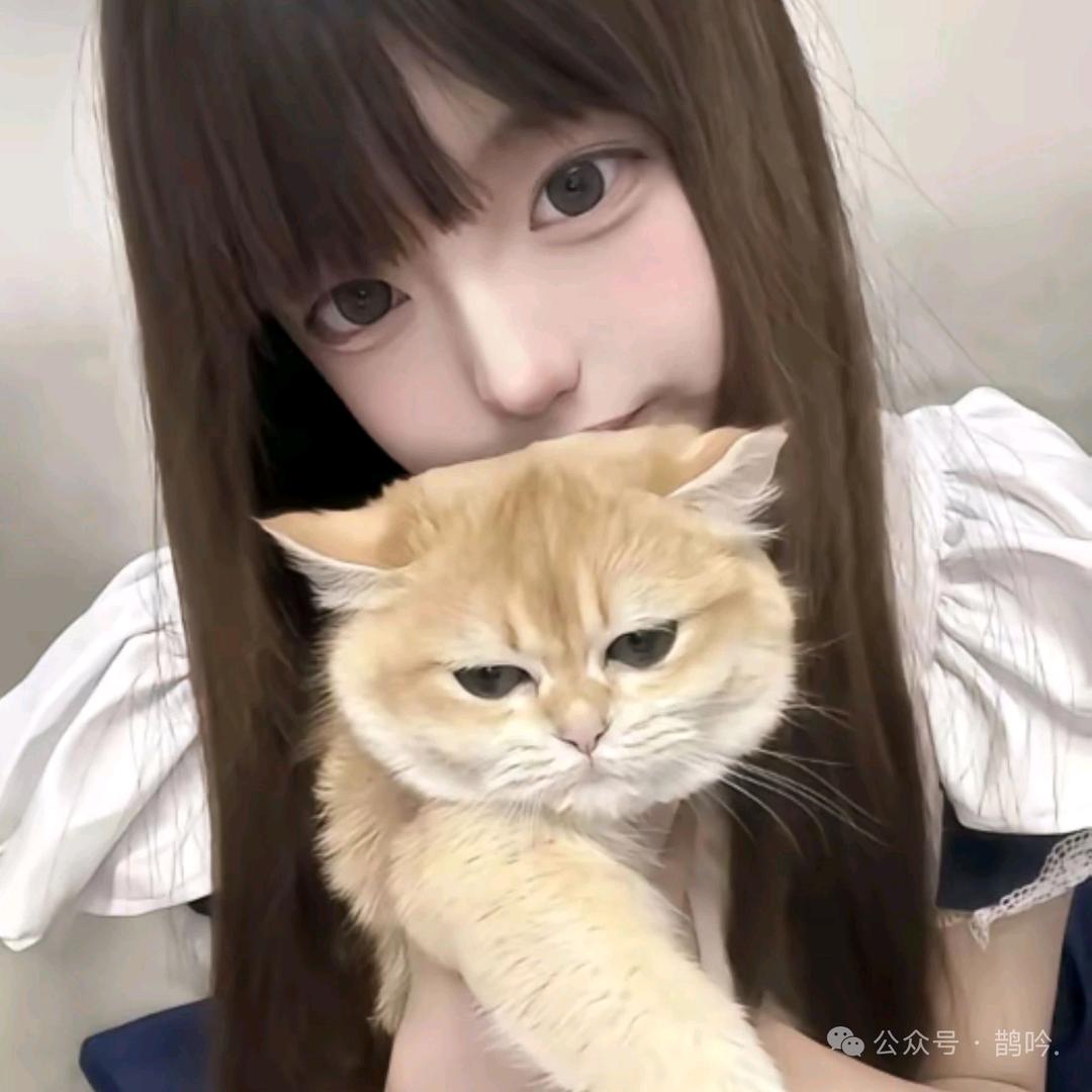 念念