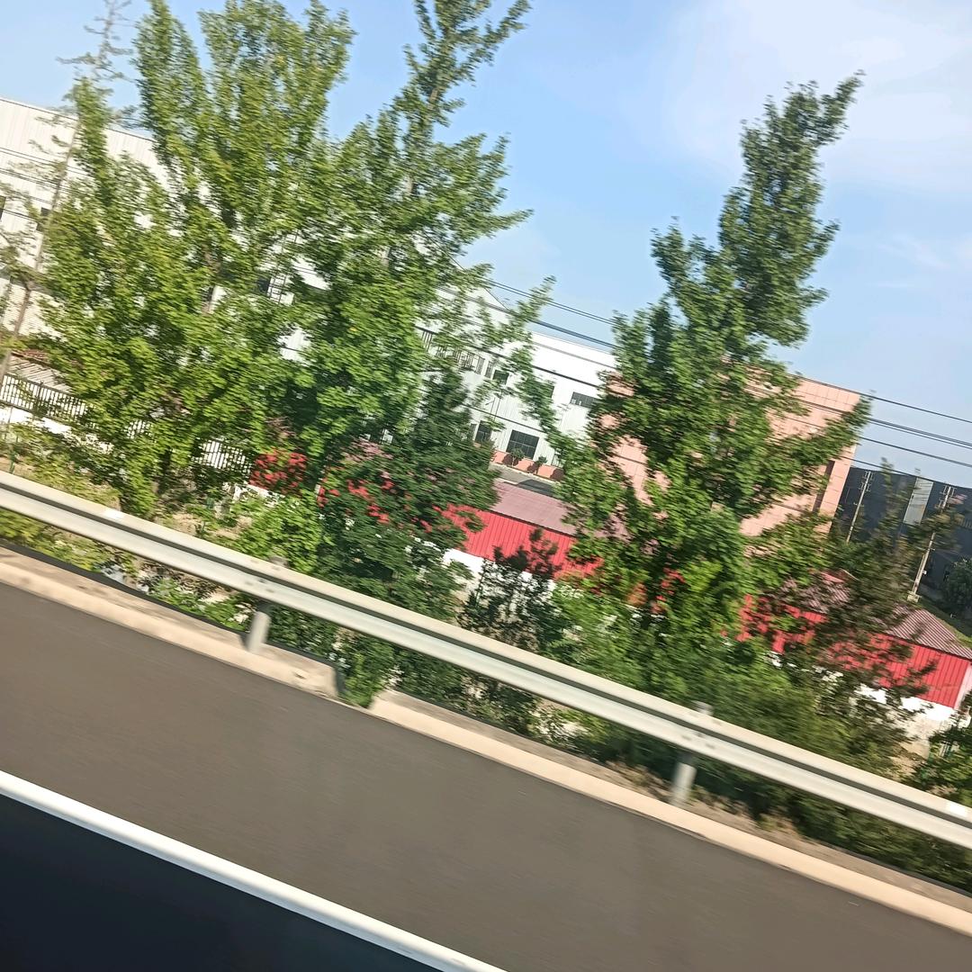 若如初