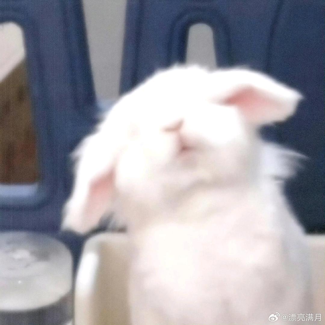 干锅鸭头七瓣半