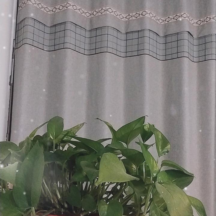 (慎绑顾)