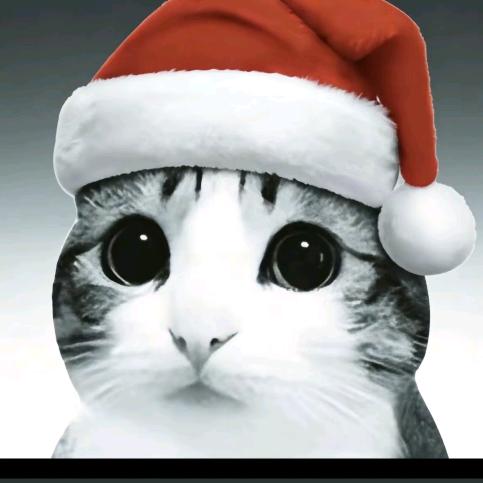 小猫(圣诞版)