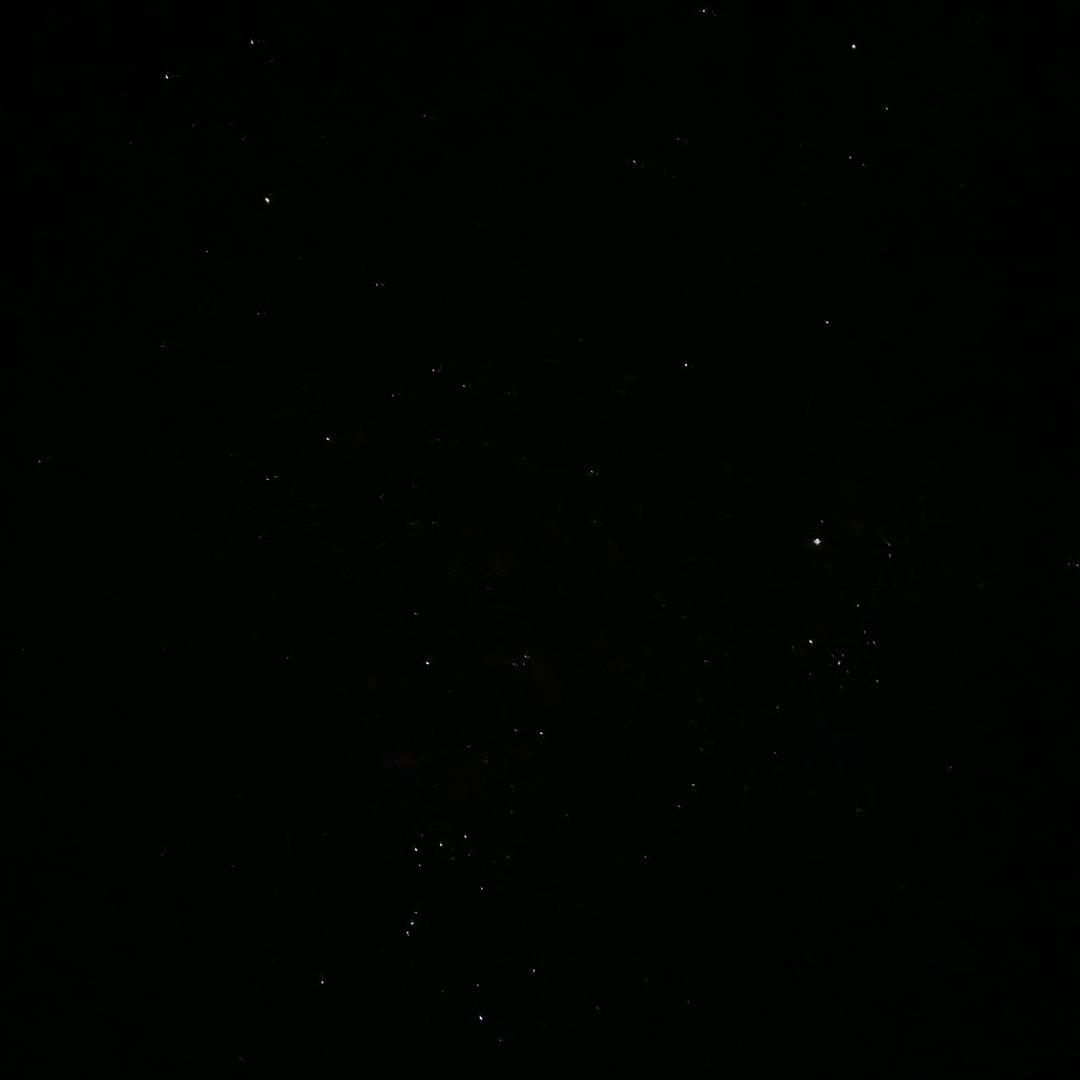 南枫