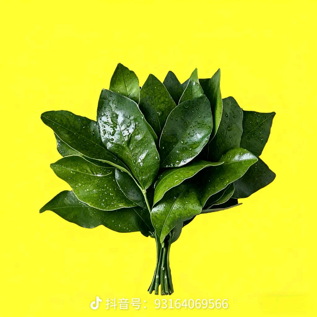 不吃姜