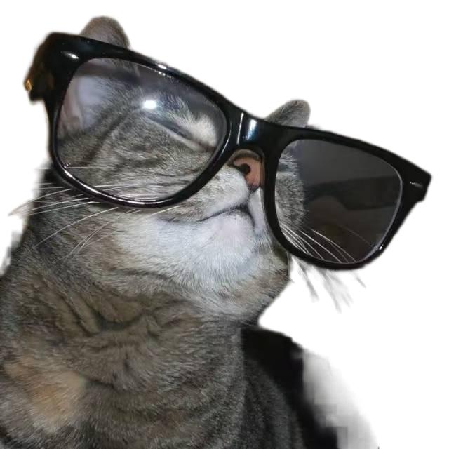 方方 ᅟ