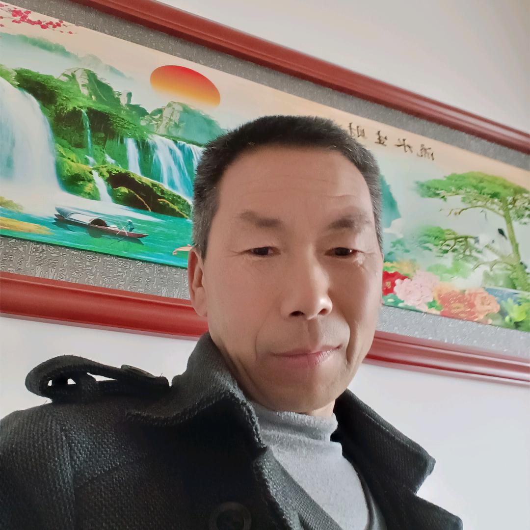 自由飞翔