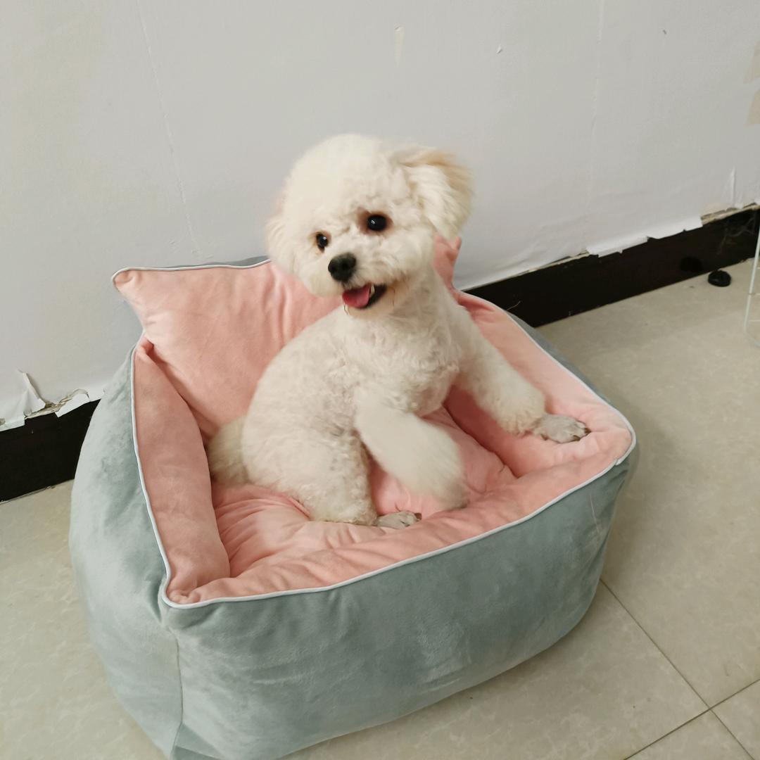 妙法小可爱