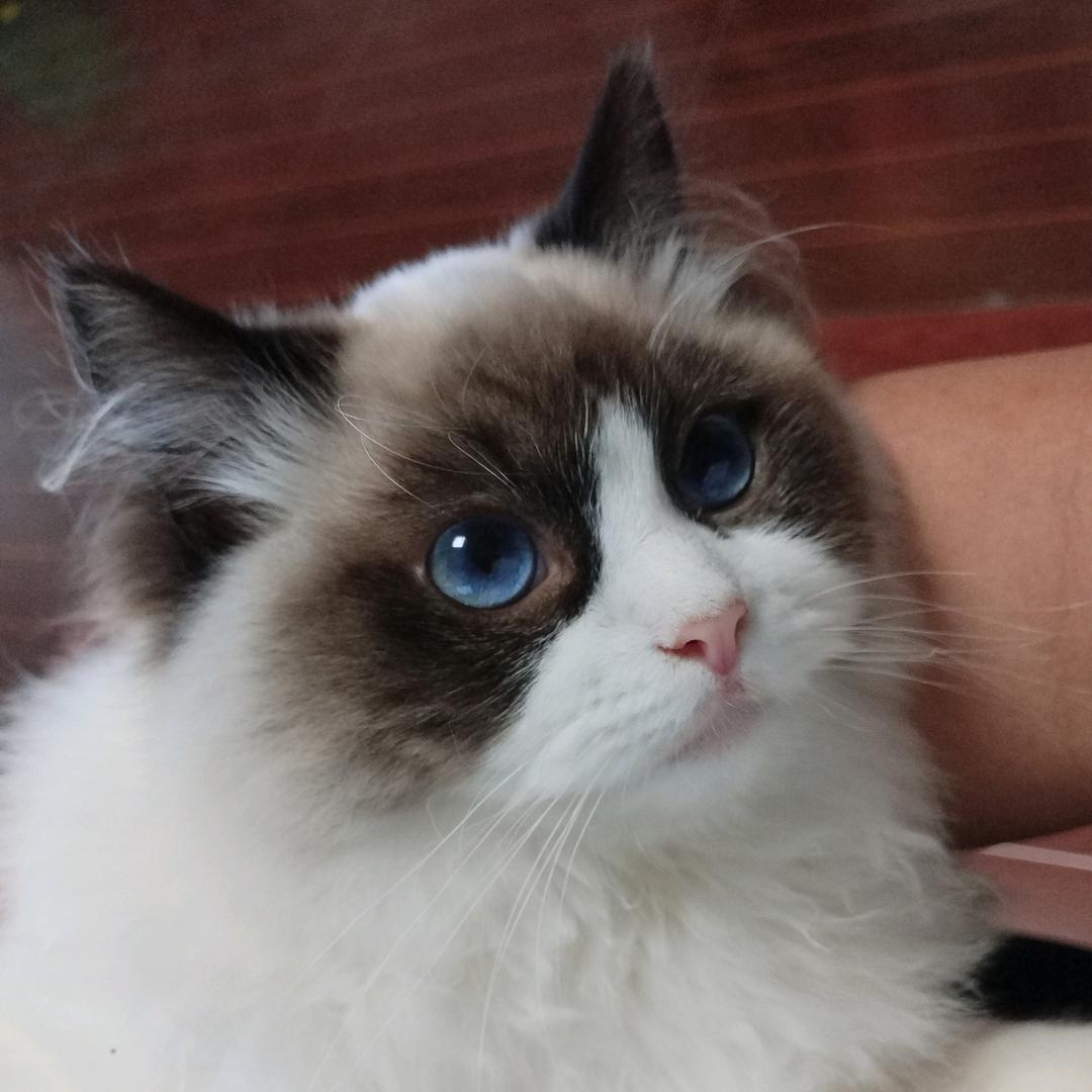 长矛沾屎戳谁谁死