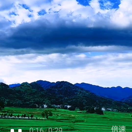 李姐（晚上6：30）开播