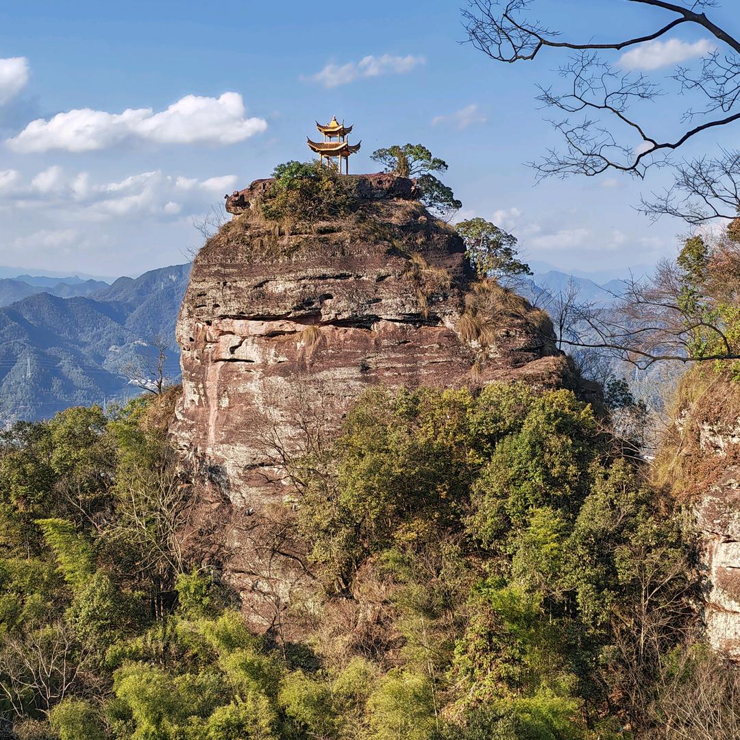 锐舒电商1部-龙龙