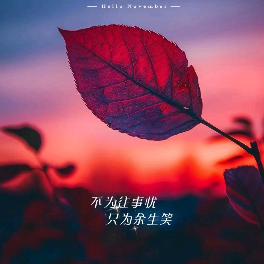 莫苒