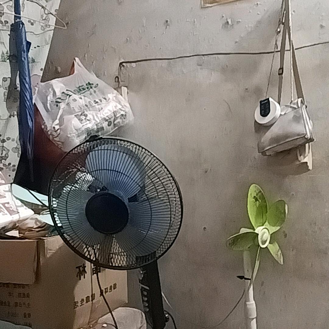 重庆人