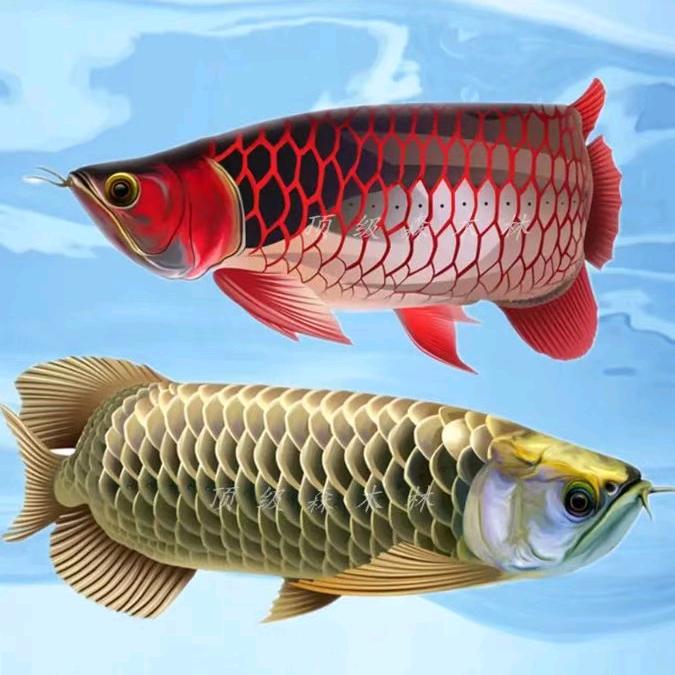 石家庄手机号888