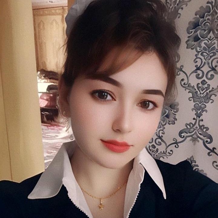 可爱的燕子