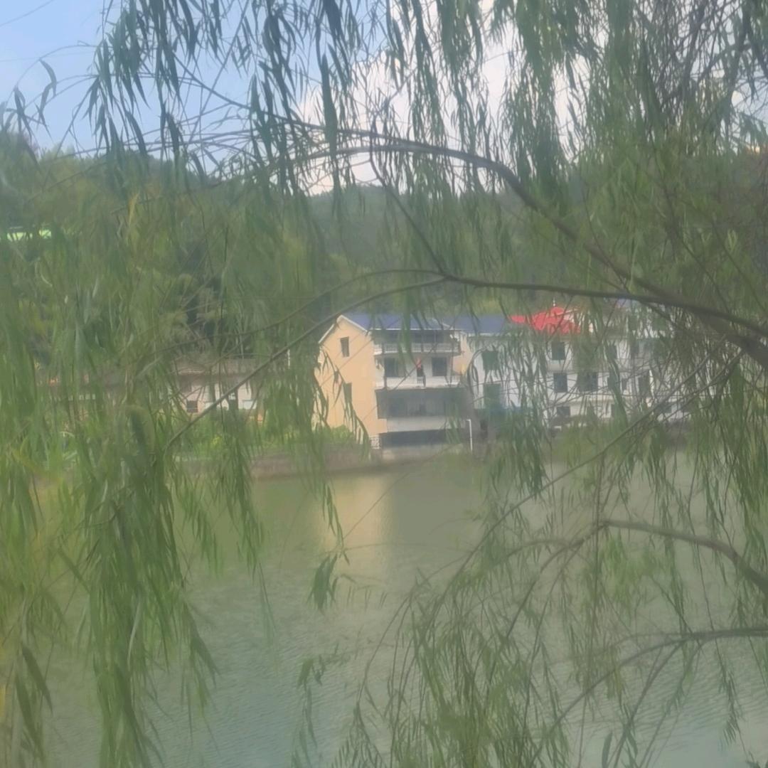 小李子