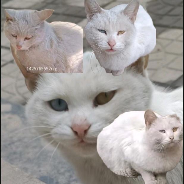 小