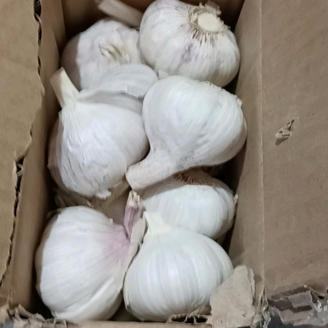 好歌