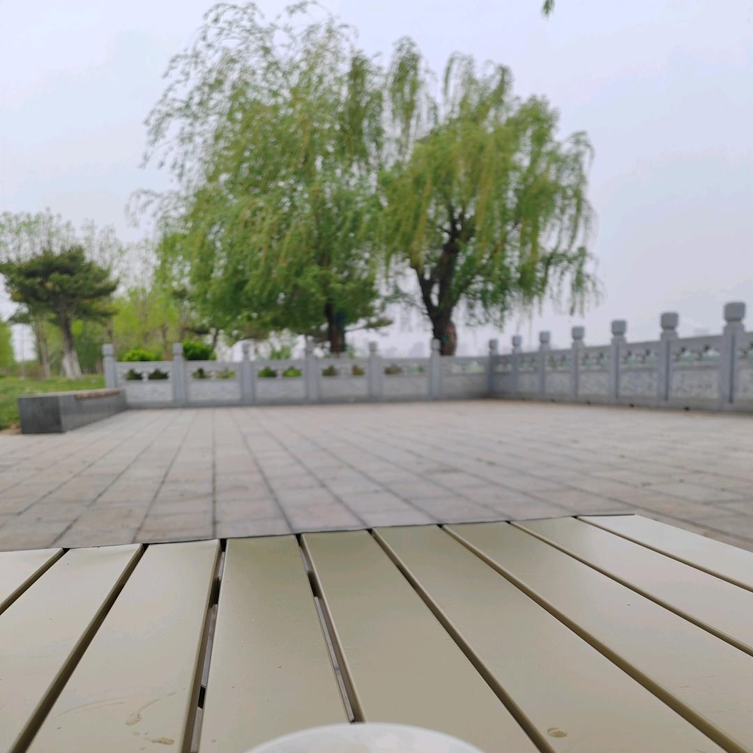 静晨师兄