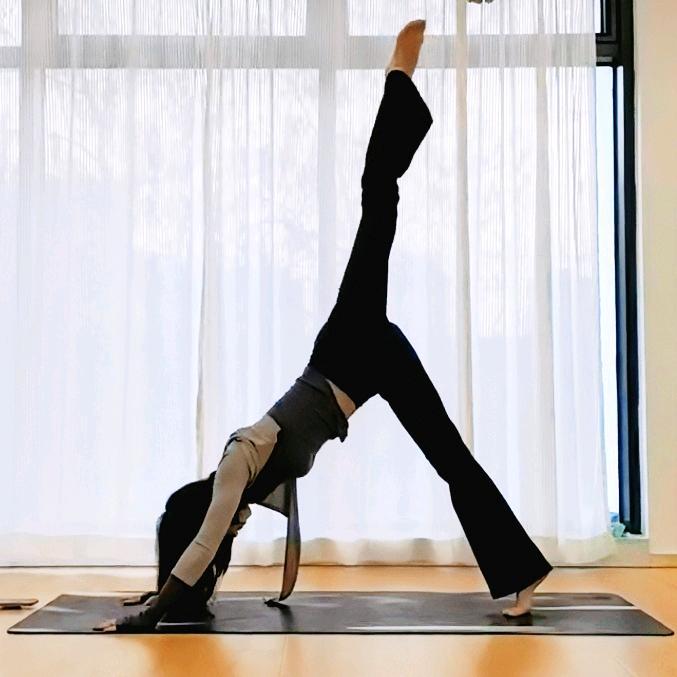 文竹Yoga