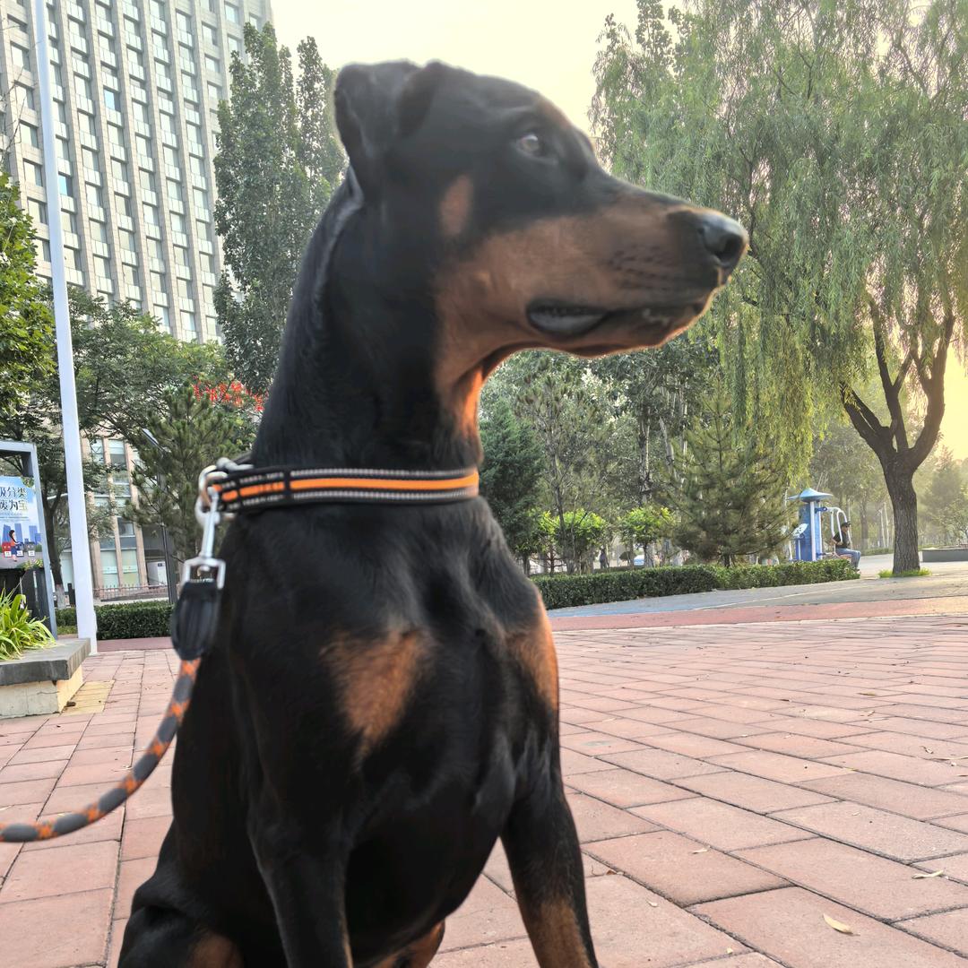 A来财来财😍😍😍😍😍o(*≧▽