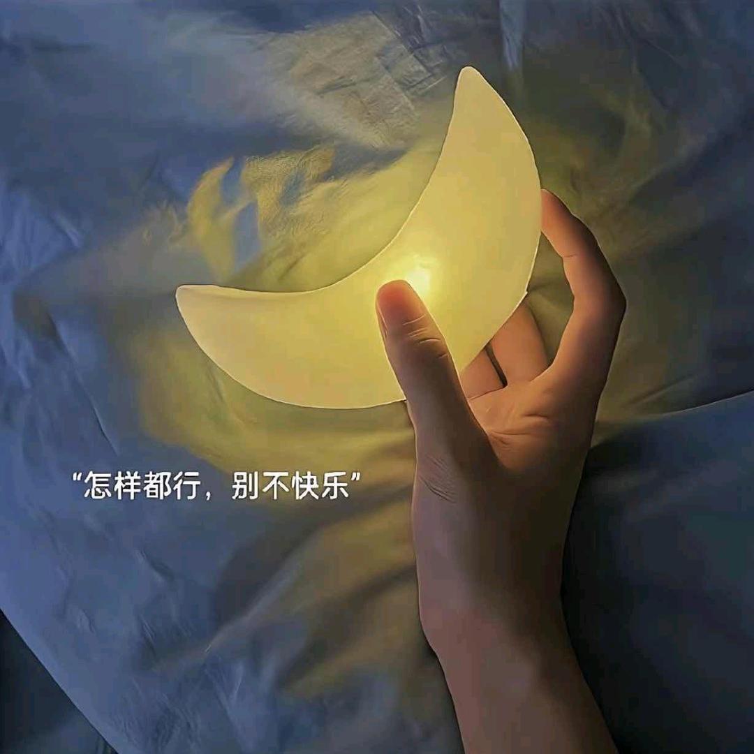 苏不可耐