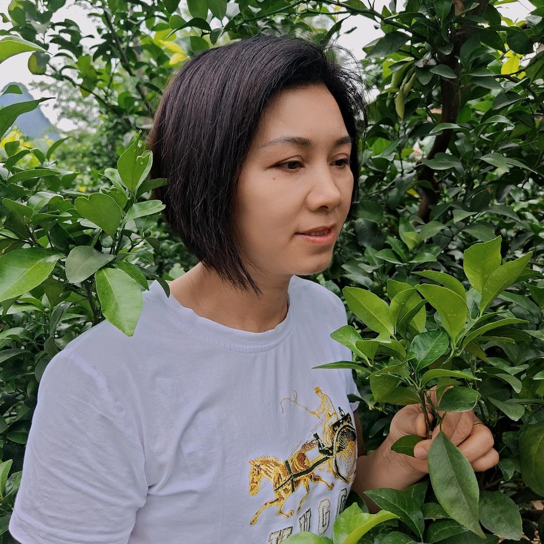 广西桐木金好年农资妹姐