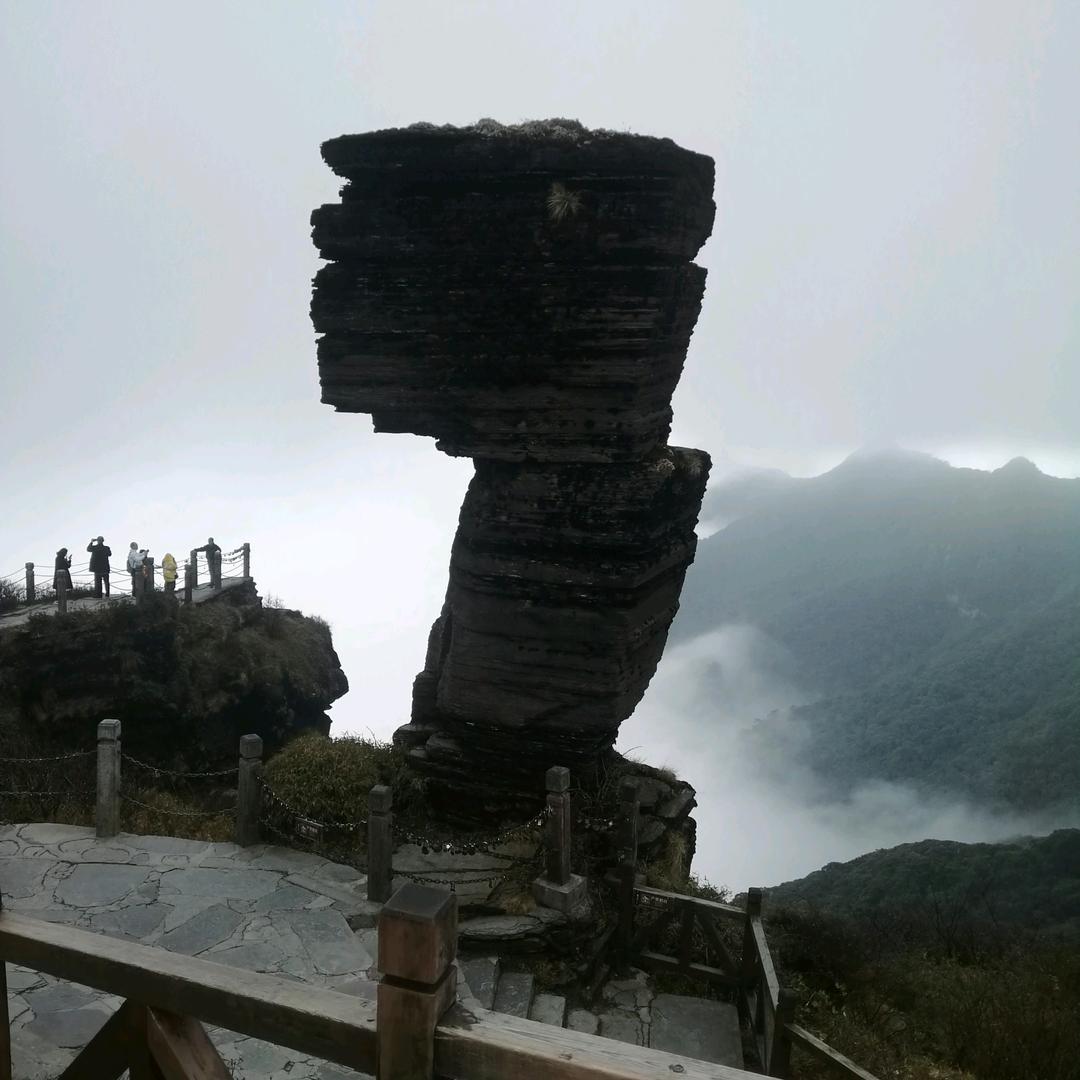 啊龙哥