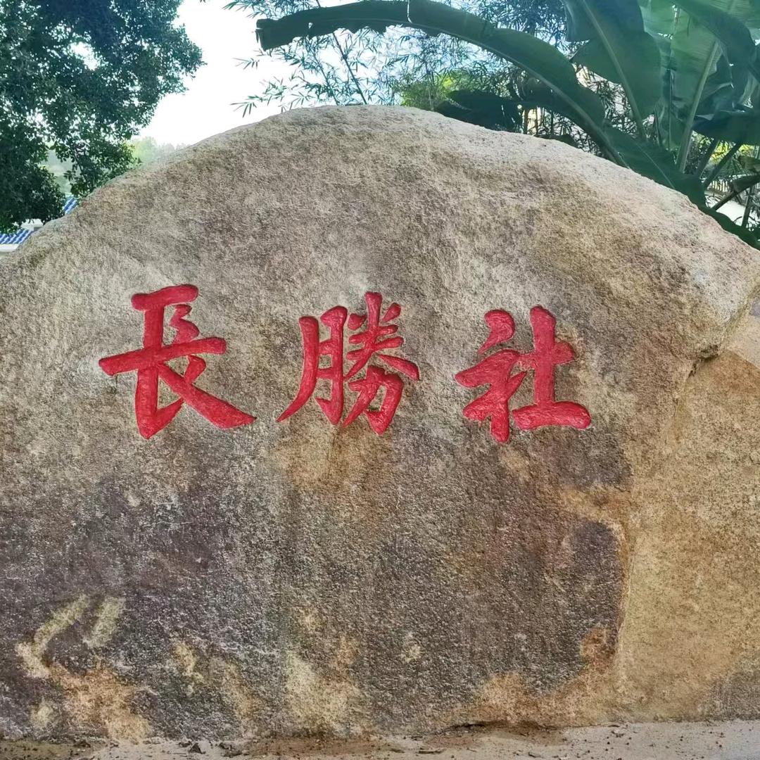桃花茶艺