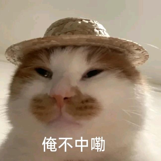 大熊猫点外卖