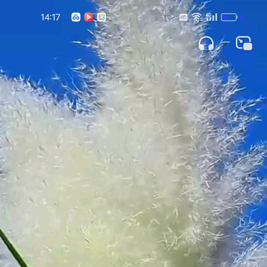 苦尽甘来