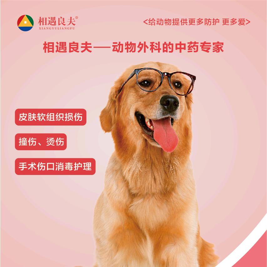 相遇良夫宠物外伤产品厂家直销