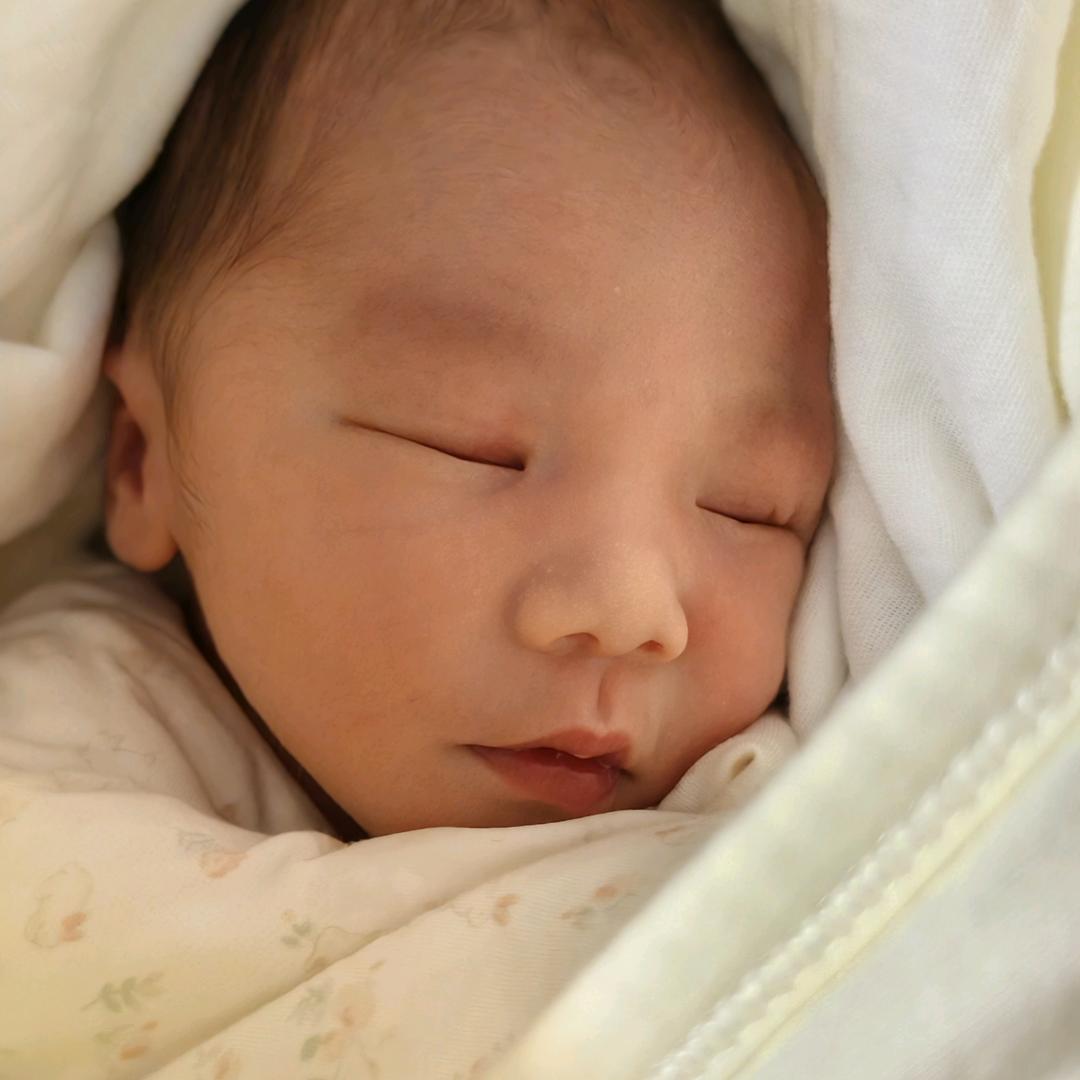 梅球球儿