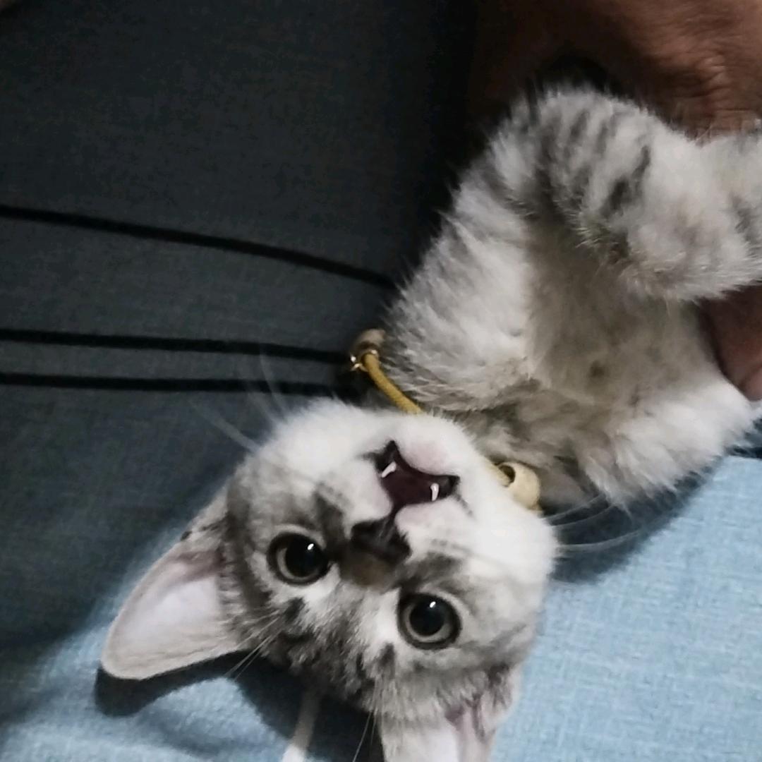 ୧⍤⃝🍼•⩊• ྀིྀིྀིྀ