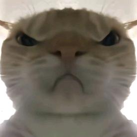 天真