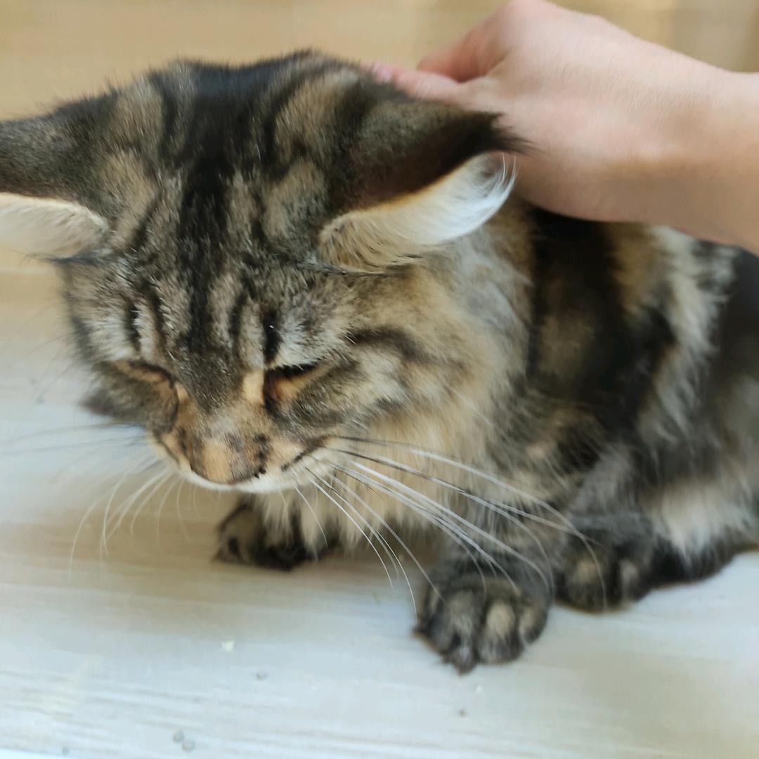 無铭