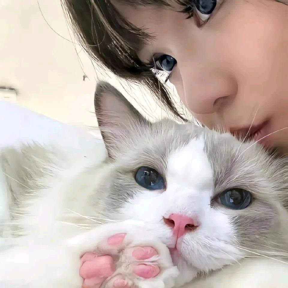 林屿安年