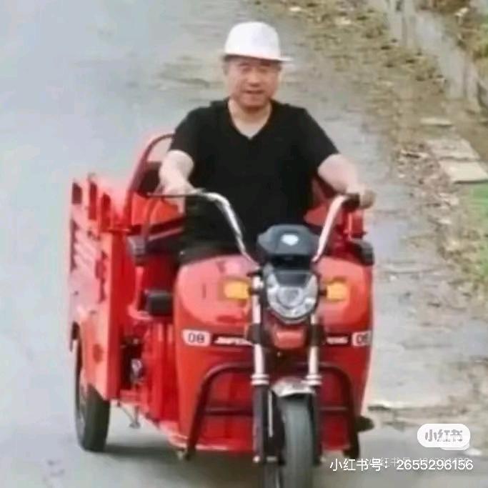 悲伤的叮当狗🐶