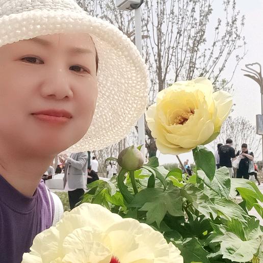 羣禅牡丹¹⁹¹⁵༗