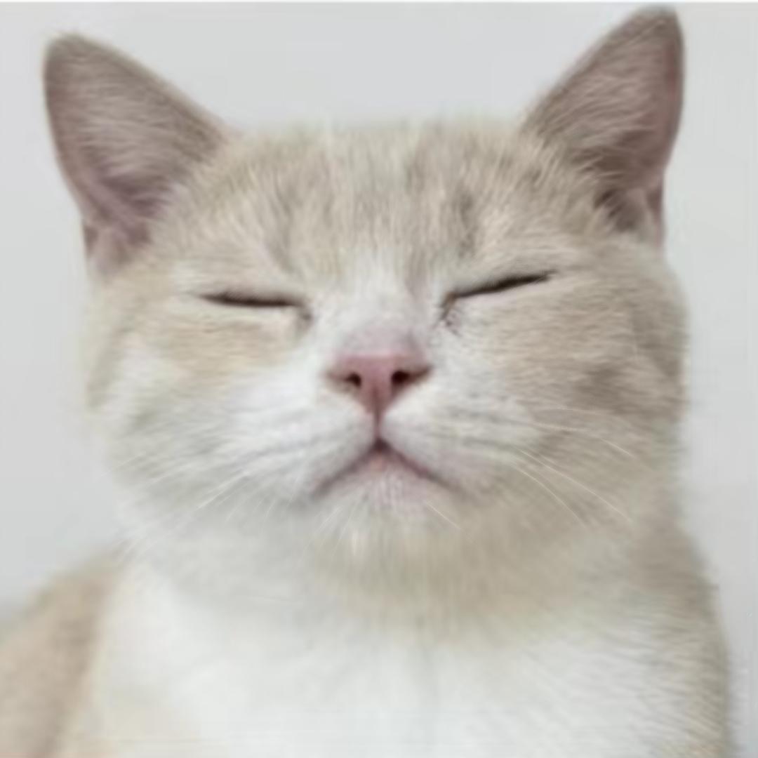 好后悔当初下凡